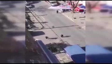 İstanbul'da tartıştığı kuzenini silahla yaraladı