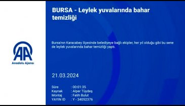 Bursa'da leylek yuvalarında bahar temizliği yapıldı