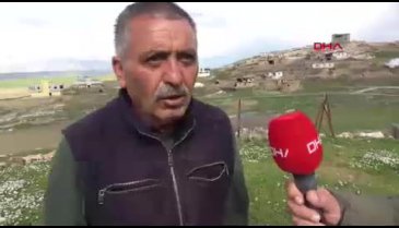 Batman köy muhtarını, Almanya'daki seçmen belirleyecek