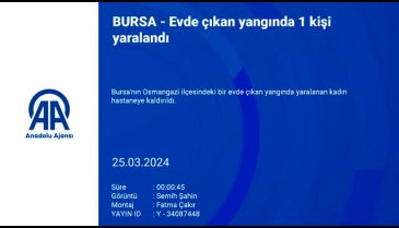 Bursa'da evde çıkan yangında 1 kişi yaralandı