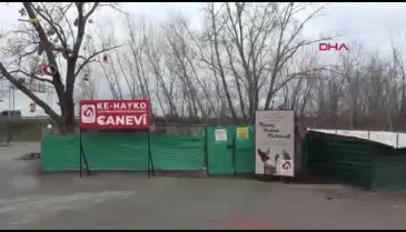 Edirne'de ağızları bağlı çuvallarda yavru köpekler bulundu!