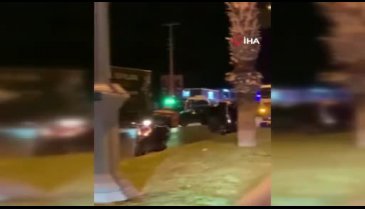 Muğla'da yola fırlayan yaban domuzu ortalığı savaş alanına çevirdi
