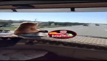 Kız çocuğuna akan trafikte TIR kullandırdı!