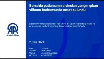 Bursa'da villada çıkan yangında ölen kişinin cinayete kurban gittiği belirlendi