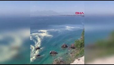 Antalya'da deniz kıyılarında tedirgin eden görüntüye uzmanından açıklama