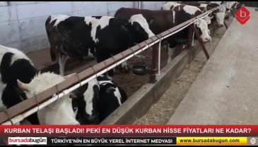Kurbanlık satışları başladı, hisse fiyatları ne kadar?