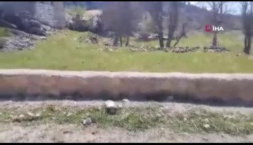 Antalya'da yaşlı kadının ölümüne sebep olan çoban köpeklerinin sahibi tutuklandı