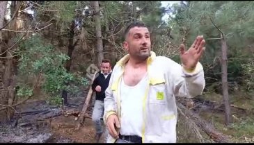 Bursa'da ormanlık alanda yangın! -3