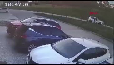 Bursa'da başıboş köpek dehşeti! Oğlu için kendini feda etti