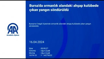 Bursa'da ahşap kulübede çıkan yangın söndürüldü
