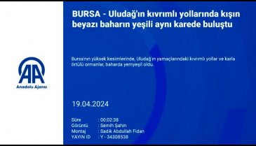 Uludağ karla örtülü ormanlar, yemyeşil oldu