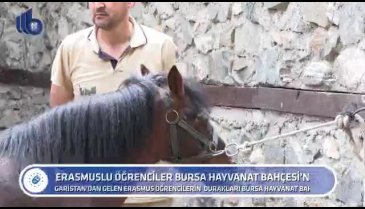 Bursa'da Erasmuslu öğrencilerin bugünkü durağı Bursa Hayvanat Bahçesi oldu