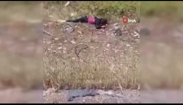 Gaziantep'te 9 kişinin öldüğü kazada bilirkişi raporu: 6 kural ihlali