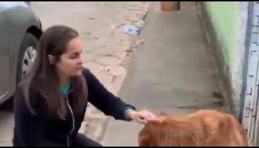 Köpeklerin uyutulmasına karşı olduğunu anlatırken saldırıya uğradı!