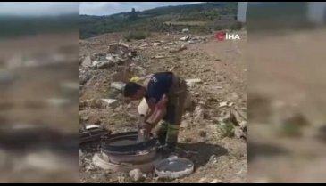 Bursa'da kapağı açık rögara düşen küçükbaş hayvanı itfaiye kurtardı