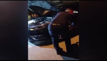Kocaeli'de otomobile giren yılan hem korkuttu hem de uğraştırdı