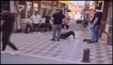İzmir'de yasaklı ırk köpek, kediyi nefessiz bıraktı!
