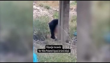 Kilis'te yaşlı bir adam köpeğe tecavüz etti! O anlar kamerada