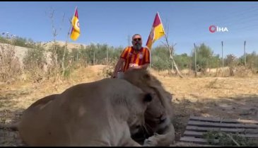 Galatasaray'ın 24. şampiyonluğunu aslanlarıyla kutladı