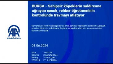 Bursa'da sahipsiz köpeklerin saldırısına uğrayan çocuk travmayı atlatıyor