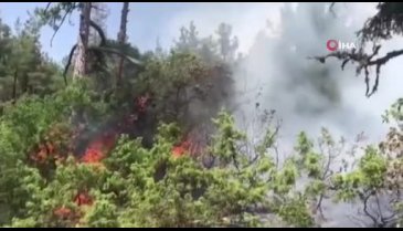 Bursa Orhaneli'nde orman yangını! -2