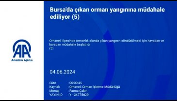 Bursa Orhaneli'nde orman yangını! -3