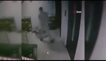 Sakarya'da kediye sopa ile saldıran kişi gözaltına alındı