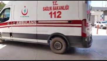 Bursa'da arıların soktuğu adam öldü