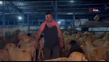Bursa'da kimi yerde, kimi arabada, kimi hayvanlarla iç içe yatıp nöbet tutuyor