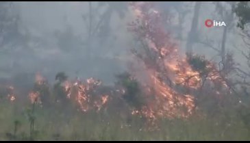 6 noktada orman yangını - 2