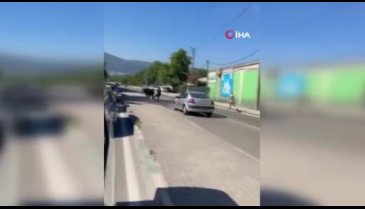 Bursa'da pazardan kaçan dana ortalığı karıştırdı!