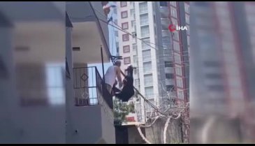 Adana'da damdan atlayan kurbanlık keçi elektrik tellerine takılı kaldı