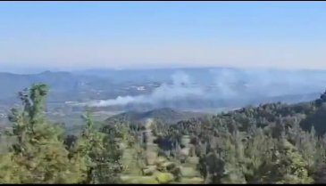 Bursa-Sakarya yolu üstünde ormanlık alanda yangın!