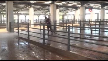 Bursa Osmangazi'de kurban pazarları temizlendi