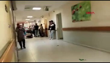 Bursa'da ıhlamur toplarken ağaçtan düşüp öldü