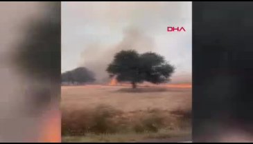 Çanakkale'de orman yangını!