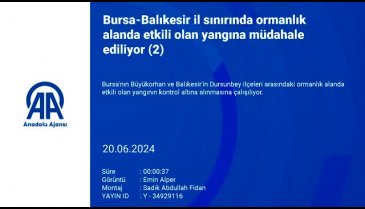 Bursa'daki orman yangınına havadan müdahale sürüyor -2