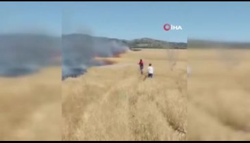 Bingöl'de 100 dönümlük tarım alanı yandı