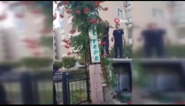 Bursa'da sarmaşıklara dolanan yılan, itfaiye ekiplerine ecel terleri döktürdü