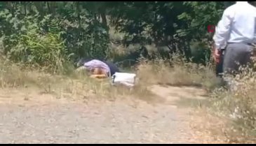 İstanbul'da ağaçlık alanda kadın cesedi bulundu