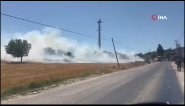 Bursa-İzmir Karayolu'nda örtü yangını şiddetli rüzgar sebebiyle ilerliyor