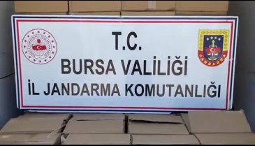 Bursa'da jandarma ele geçirdi! Piyasa değeri yaklaşık 1 milyon TL
