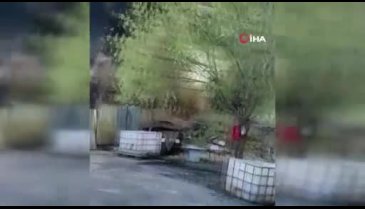 Sakarya'da yangın!