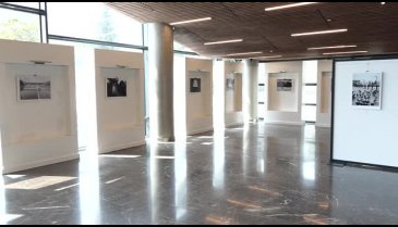 Bursa Osmangazi'nin ödüllü fotoğrafçısından sokak hayvanları sergisi