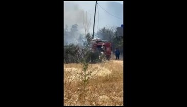 Bursa'da yangınlar bitmiyor! Şimdi de Demirtaş'ta yangın