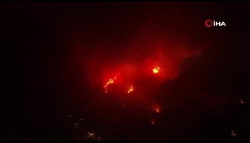 İzmir Selçuk'taki yangın havadan görüntülendi