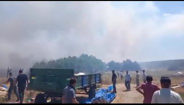Bursa'da yine yangın çıktı! -3
