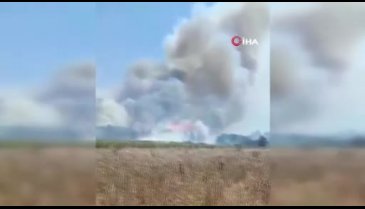 Bursa'da yine yangın çıktı! -4