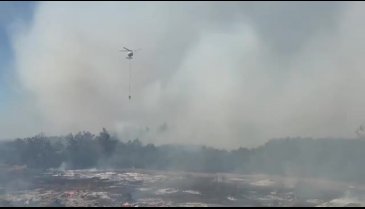 Bursa'da çıkan anız yangını büyüyor! -2
