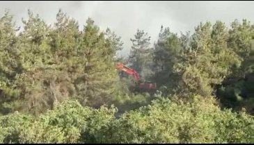 Bursa'da çıkan anız yangını büyüyor! -6